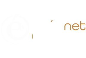 Agence Web Alphéa net